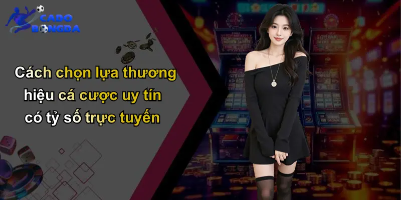 Tỷ số trực tuyến 3 Cách chọn lựa thương hiệu cá cược uy tín có tỷ số trực tuyến