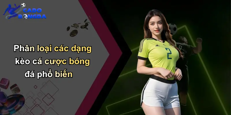 Tỷ lệ kèo nhà cái 2 Phân loại các dạng kèo cá cược bóng đá phổ biến