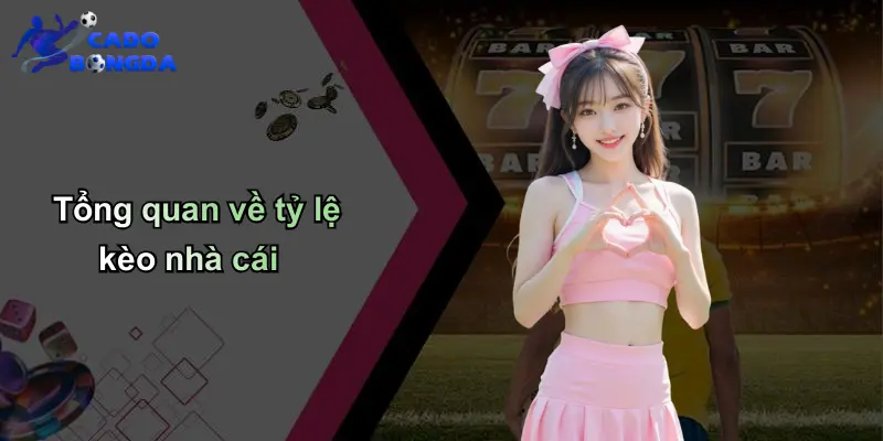 Tỷ lệ kèo nhà cái 1 Tổng quan về tỷ lệ kèo nhà cái