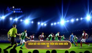 Cách bắt kèo rung khi trận đấu đang diễn ra