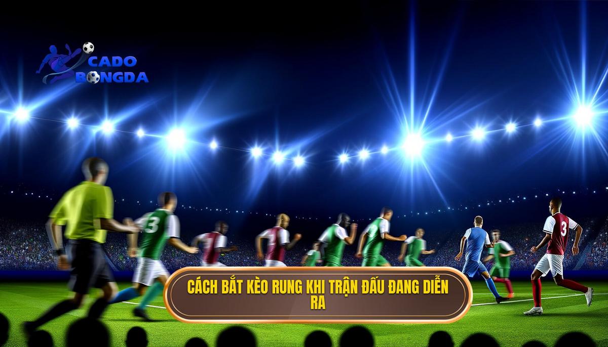 Cách bắt kèo rung khi trận đấu đang diễn ra chi tiết hiệu quả 4 Cách bắt kèo rung khi trận đấu đang diễn ra