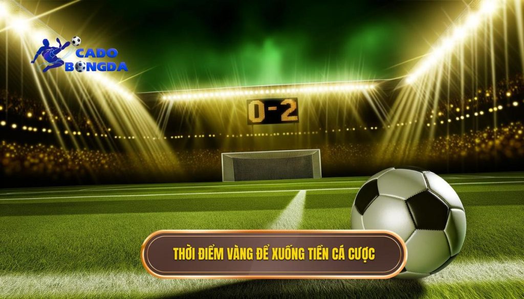 Thời điểm vàng để xuống tiền cá cược
