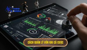 cách quản lý vốn khi cá cược