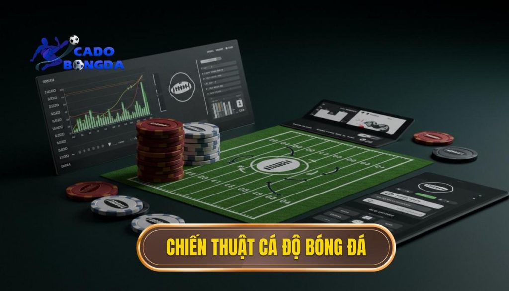 chiến thuật cá độ bóng đá