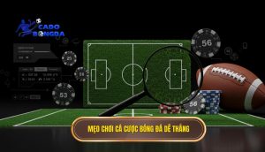 mẹo chơi cá cược bóng đá dễ thắng