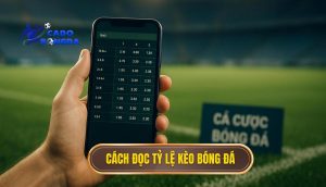 Cách đọc tỷ lệ kèo bóng đá