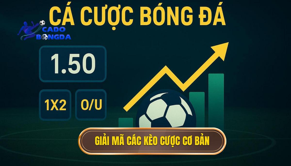 Phần 1_ Giải Mã Các Loại Kèo Cược Cơ Bản Nhất