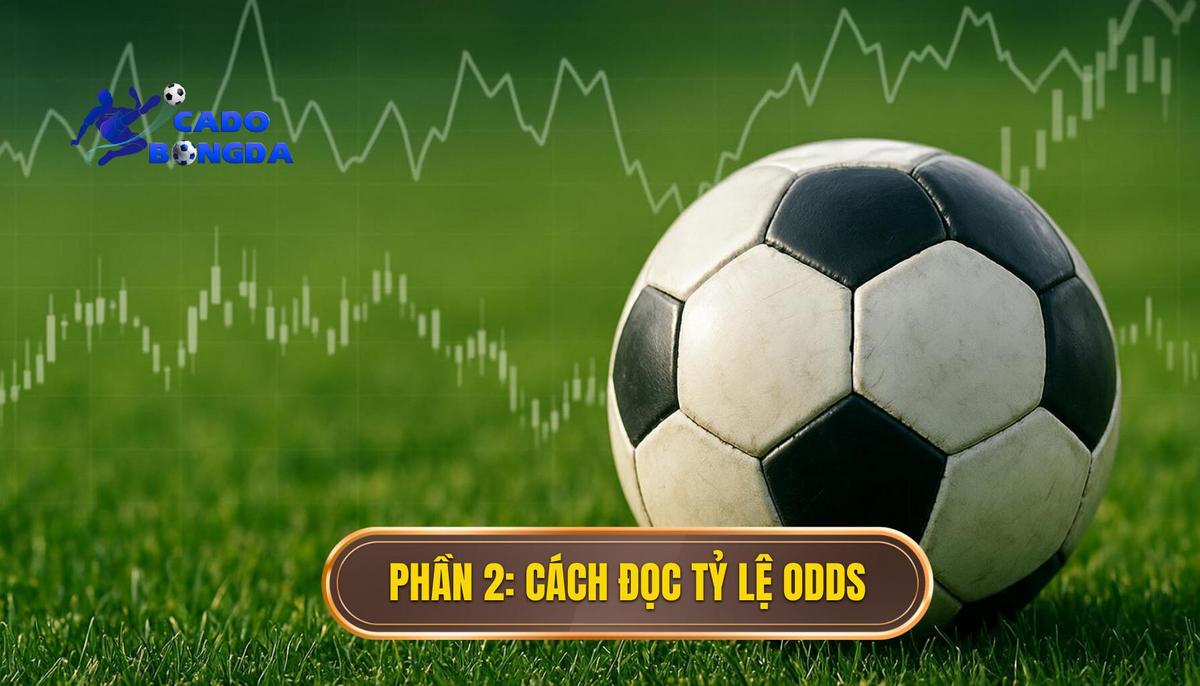 Phần 2_ Phương Pháp Đọc ODDS (Tỷ Lệ Thanh Toán)
