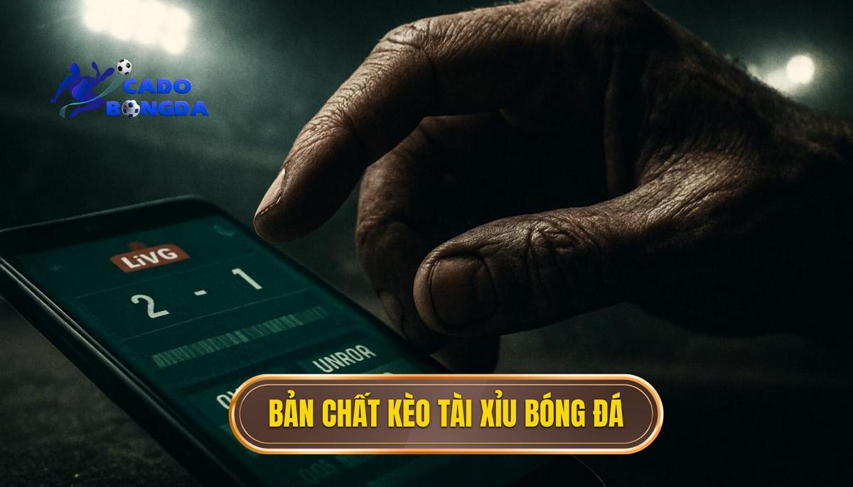 Bản Chất Của Kèo Tài Xỉu Bóng Đá