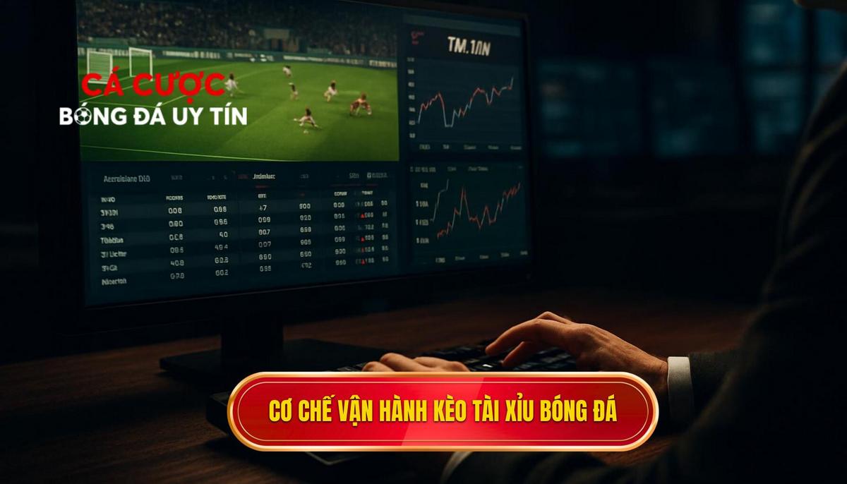 Bản chất và cơ chế vận hành của kèo Tài xỉu bóng đá
