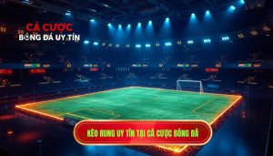Kèo rung uy tín tại CÁ CƯỢC BÓNG ĐÁ