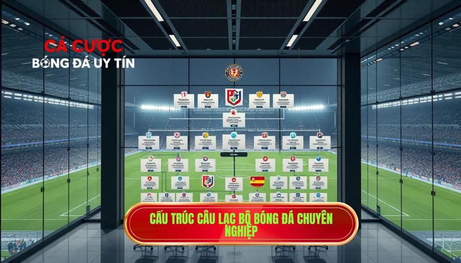 Câu Lạc Bộ Bóng Đá: Trung Tâm Của Niềm Đam Mê Và Cỗ Máy Kinh Tế Tỷ Đô 2 Khái Niệm Và Cấu Trúc Của Một Câu Lạc Bộ Bóng Đá Chuyên Nghiệp