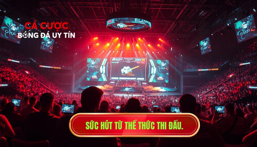 Champions League: Hành Trình Chinh Phục Đỉnh Cao Bóng Đá Châu Âu 3 Sức Hút Khó Cưỡng Từ Thể Thức Thi Đấu